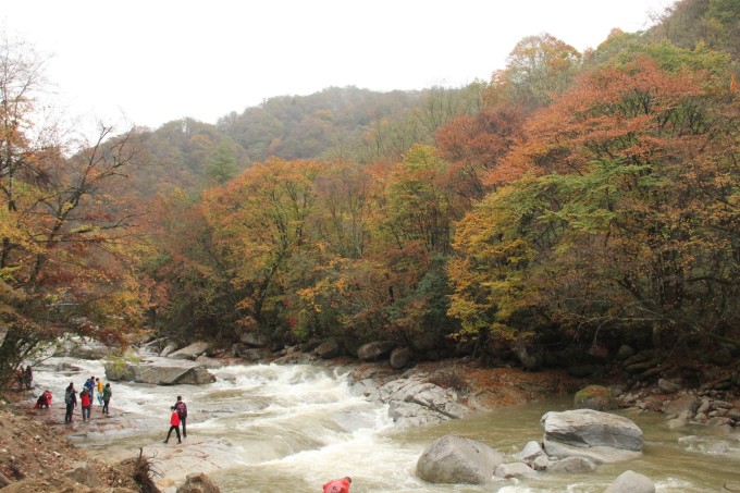 第一次游光雾山;看红叶,游山间图片