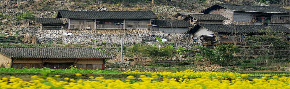 平坝县旅游