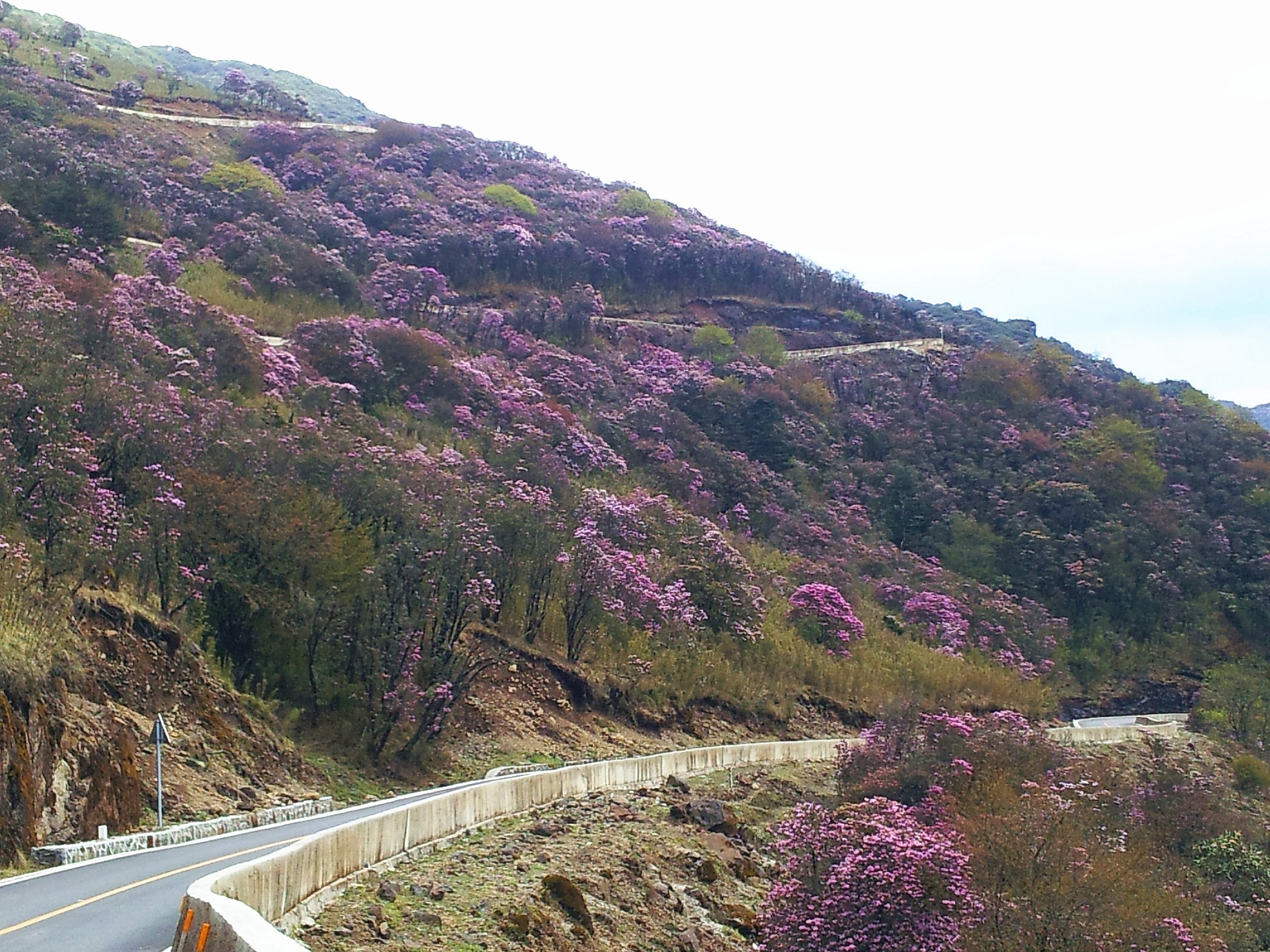 昆明禄劝轿子雪山旅游景区    