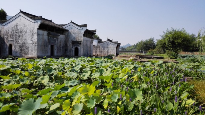 粘贴画 景 夏天的 风