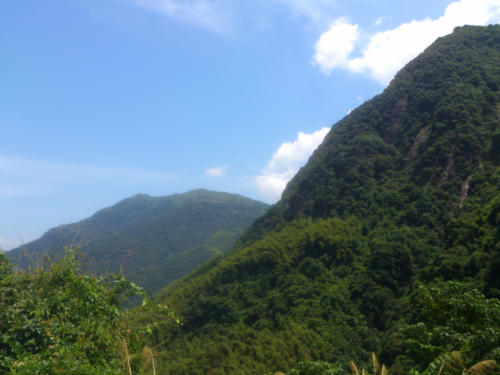 福安瓜溪(古桫椤)