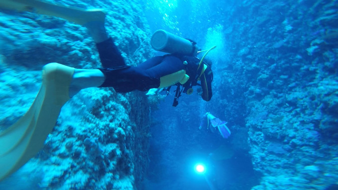人生必去的50个地方之一,上帝的水族箱,世界七大海底奇观之首,没错,这说的都是帕劳。那里的海有七种颜色,海底的鱼群多的数不清,可以和水母共舞,也可以和鲨鱼一起遨游,是所有潜水爱好者心目中的天堂,也是新婚夫妇青睐的蜜月圣地。想去感受帕劳这个人间仙境吧~那我们可以用什么方式打开帕劳海底Safari呢?往下看! 先认识三块地方(大岛、科罗尔、离岛) 1、巴伯尔图阿普岛:即大岛,机场所在地。帕劳环岛自驾就在这儿。 2、Koror:首都兼商业中心,酒店和餐厅聚集地。 3 Pelilieu:漂亮的潜水胜