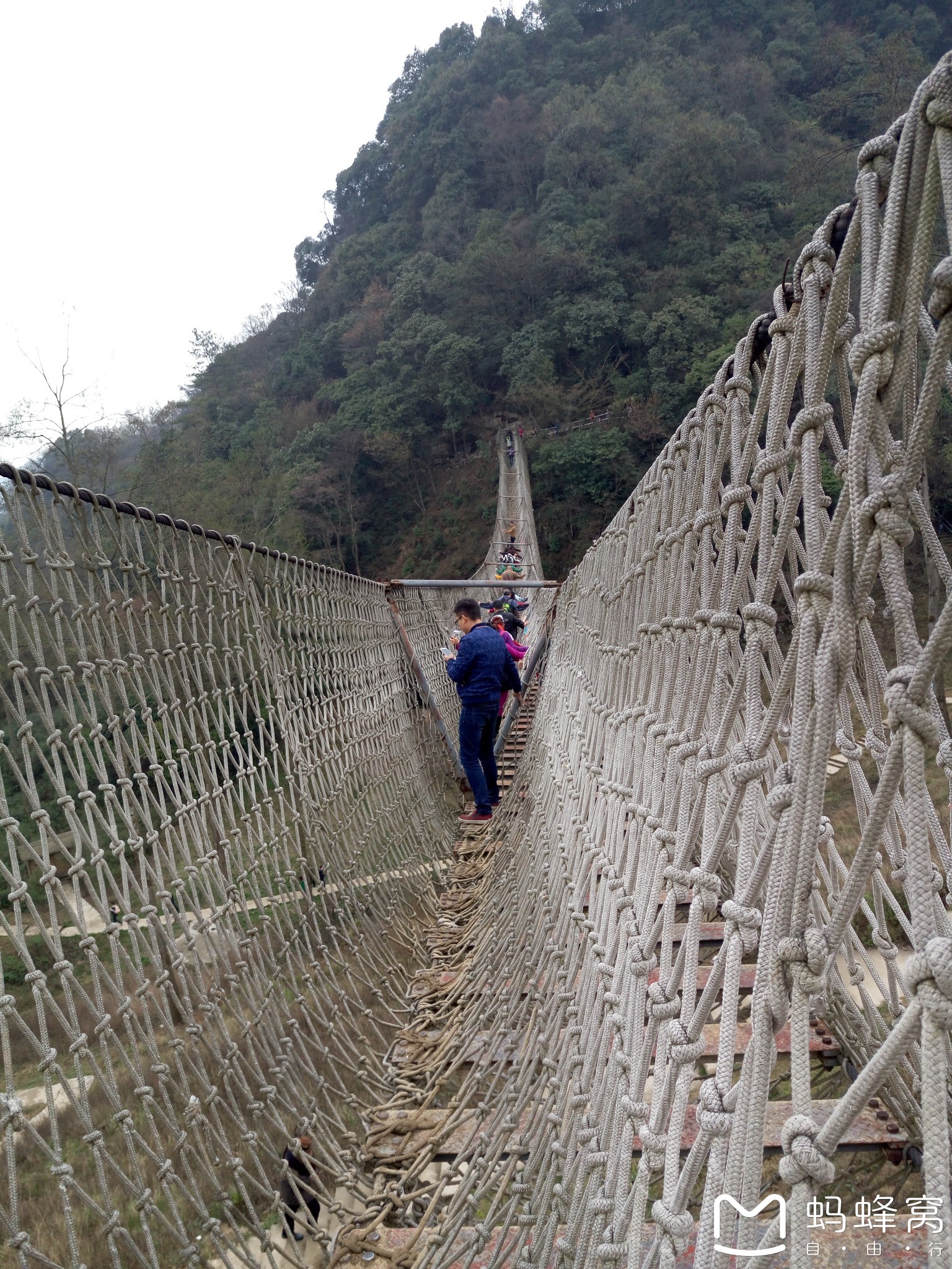 江油 药王谷 - 辛夷花 2016年 最强 最完备 旅游 攻略