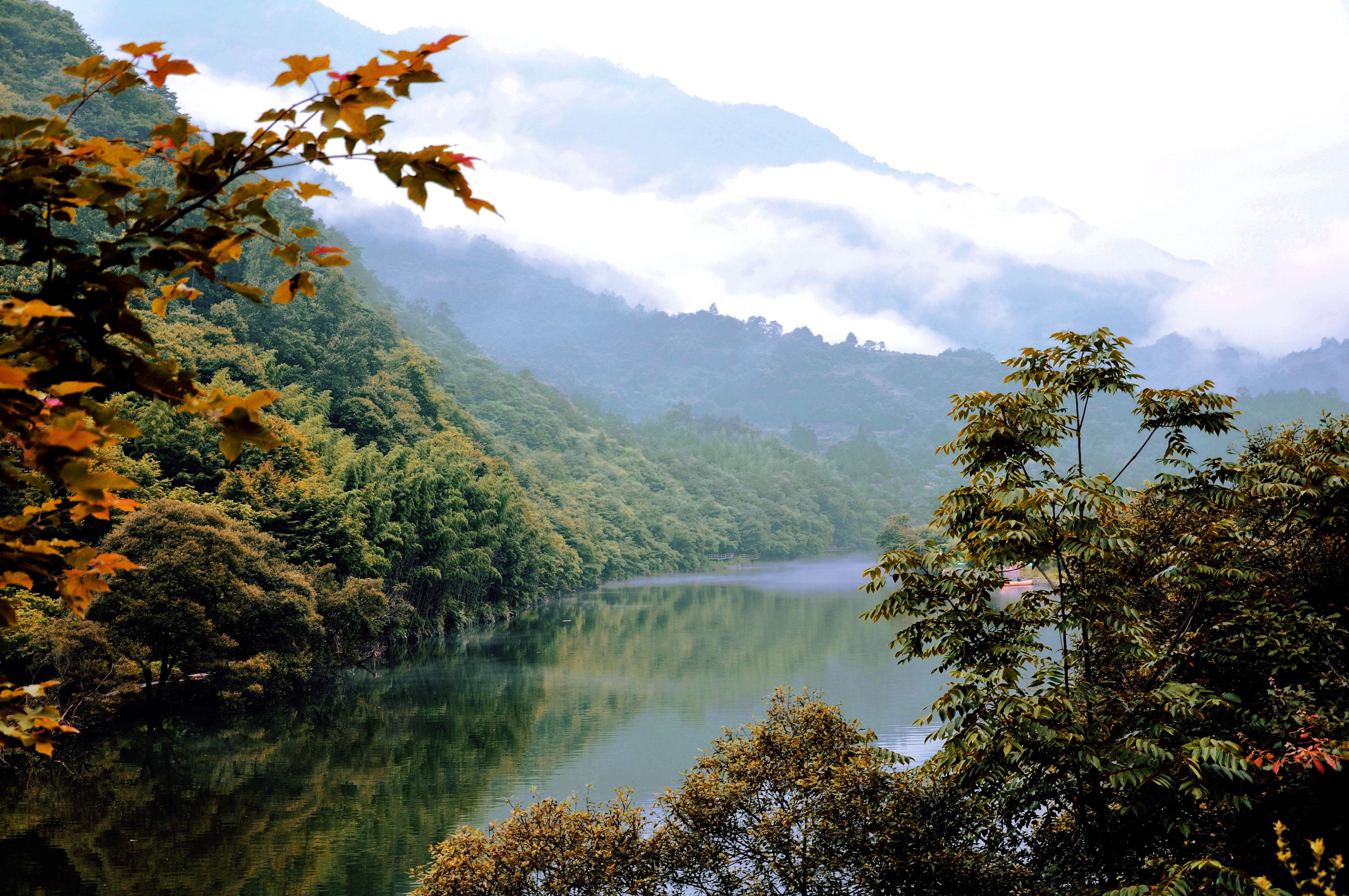 甘肃 陇南 康县 成县3日2晚跟团游·阳坝梅园沟 西峡颂 陇南经典游 踏