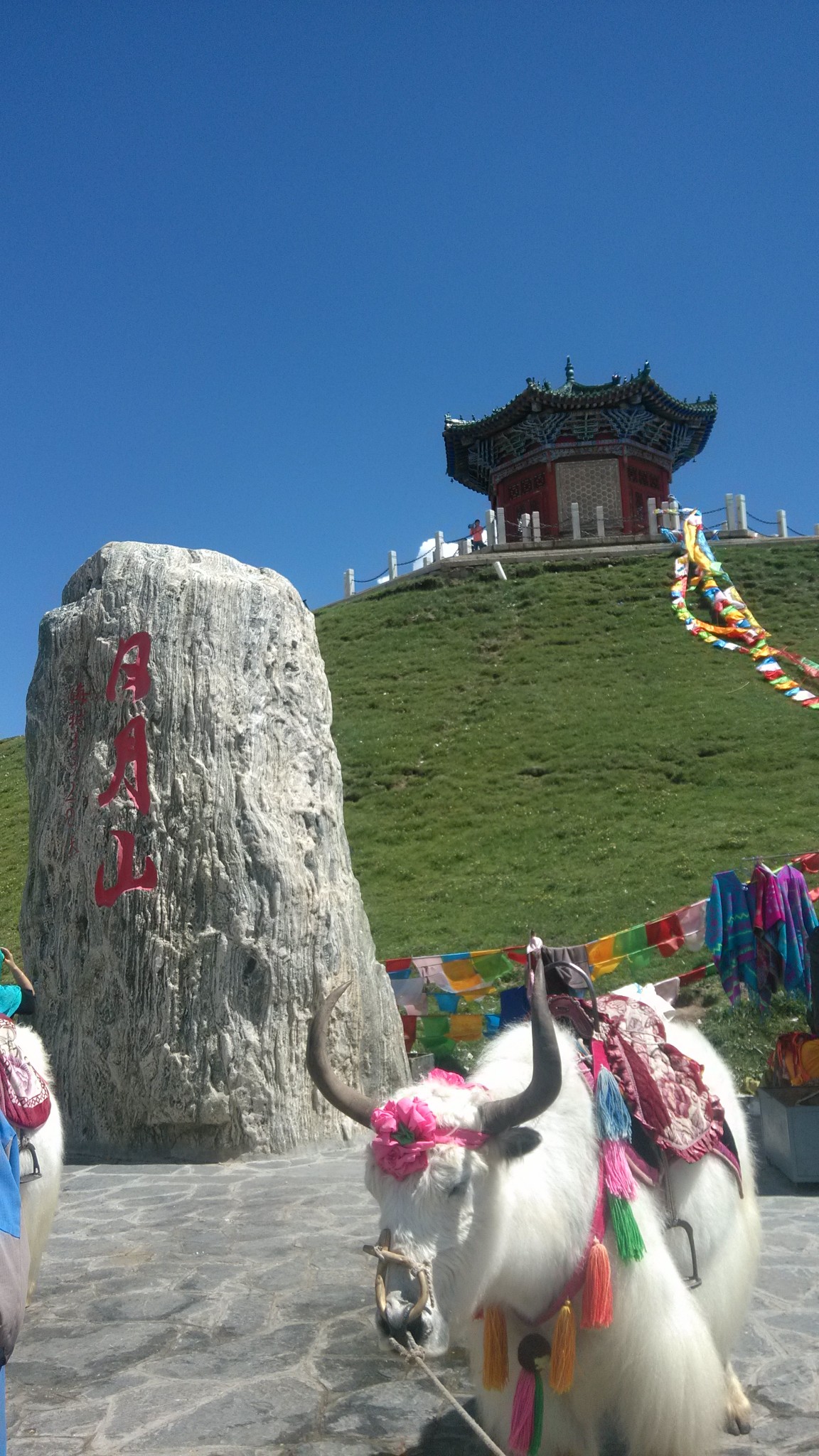 由西宁前往青海湖经过橡皮山,日月山       日月山位于青海省湟源县