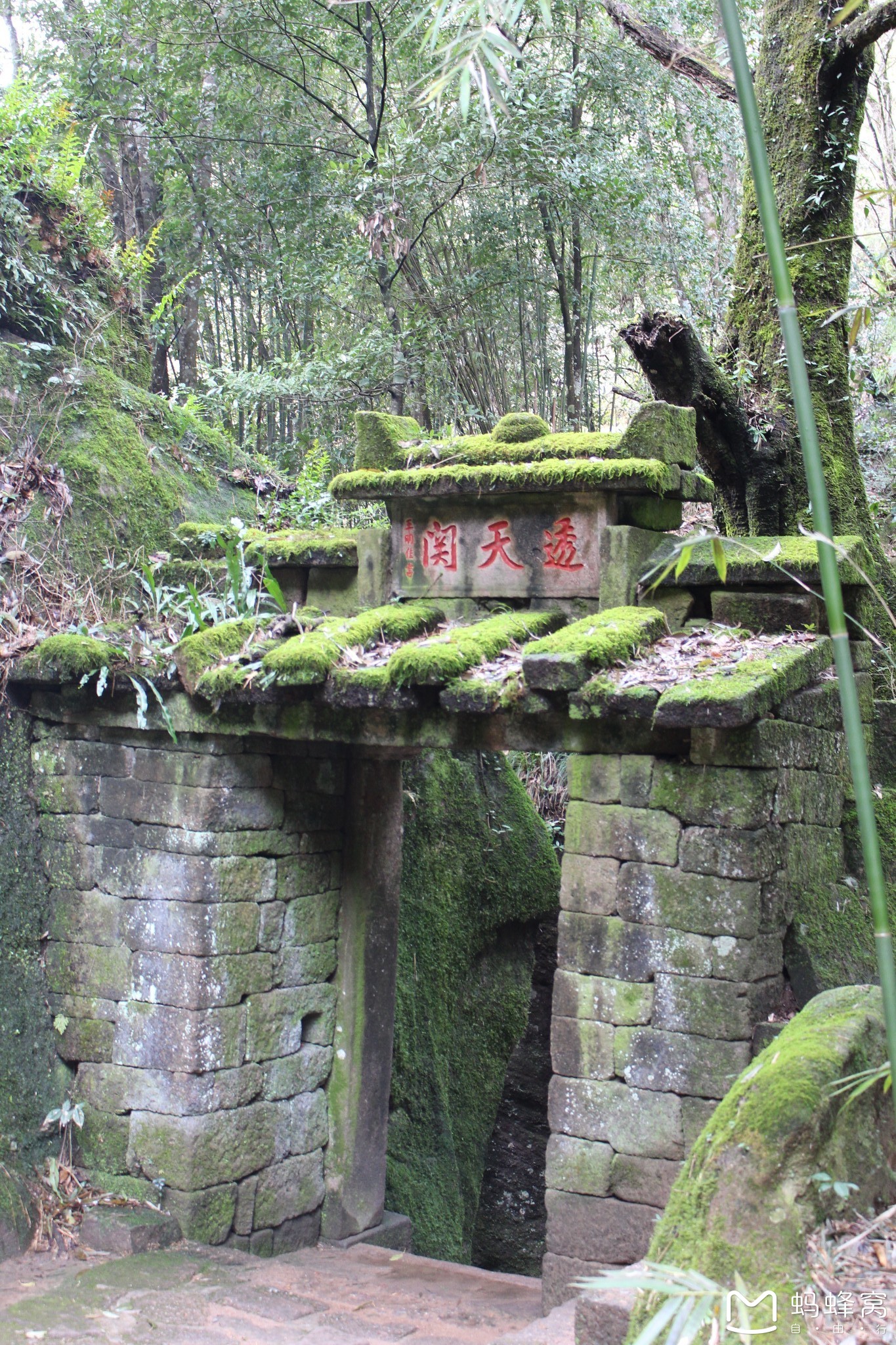 武夷山桃源洞        