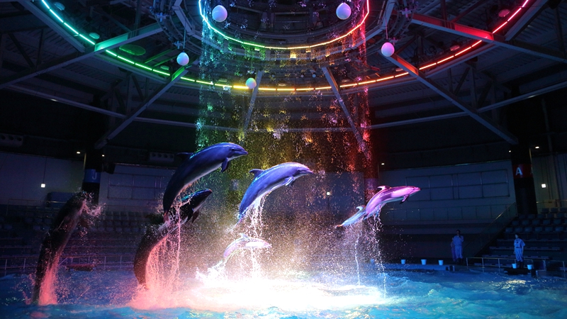 【奇幻得不用ps】东京品川爱普生水族馆门票