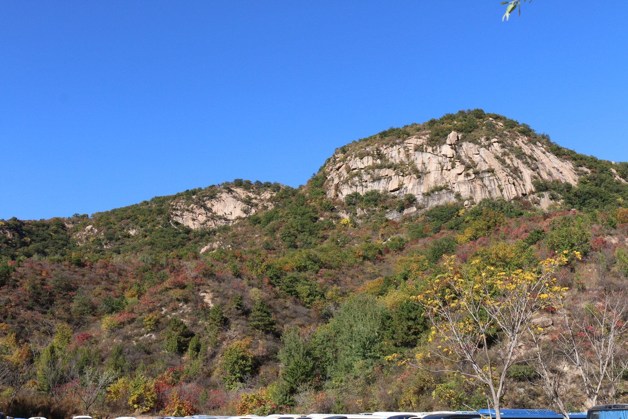 在游完喇叭溝門原始森林公園後,賦詩一首: